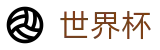 美加墨世界杯_极速下载通道